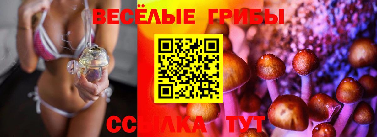 Псилоцибиновые грибы GOLDEN TEACHER  Вход с VPN  Нальчик  Псилоцибиновые грибы GOLDEN TEACHER 